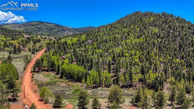 LOT60 Monarch Dr, Cripple Creek, CO 80813