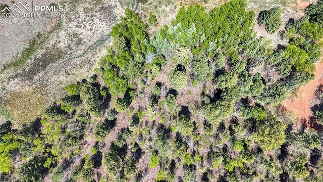 LOT60 Monarch Dr, Cripple Creek, CO 80813