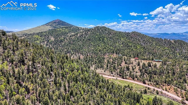 LOT60 Monarch Dr, Cripple Creek, CO 80813