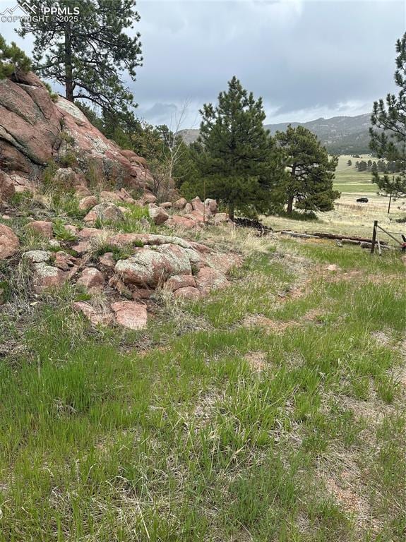 5915 County Road 11, Florissant, CO 80816
