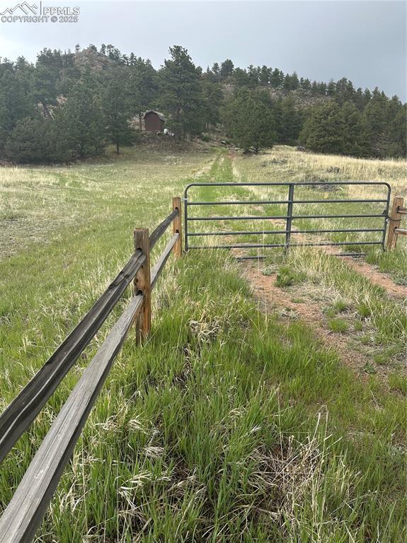5915 County Road 11, Florissant, CO 80816