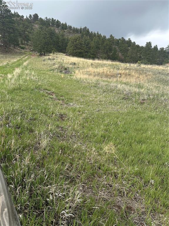 5915 County Road 11, Florissant, CO 80816