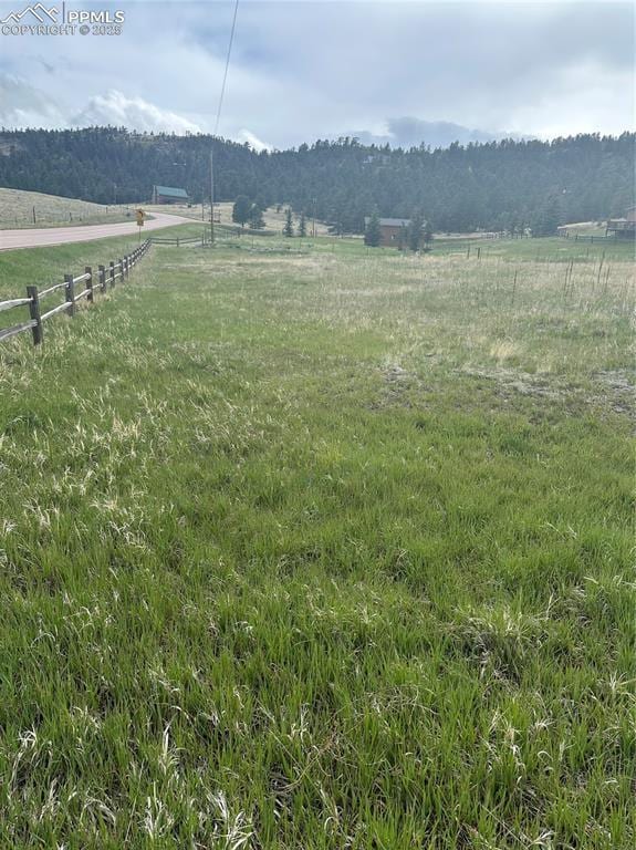 5915 County Road 11, Florissant, CO 80816
