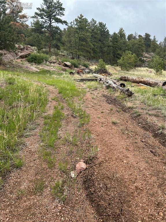 5915 County Road 11, Florissant, CO 80816