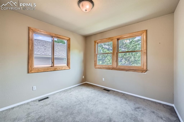 5437 Lions Gate Ln, Colorado Springs, CO 80919 - spare room featuring healthy amount of natural light and carpet floors