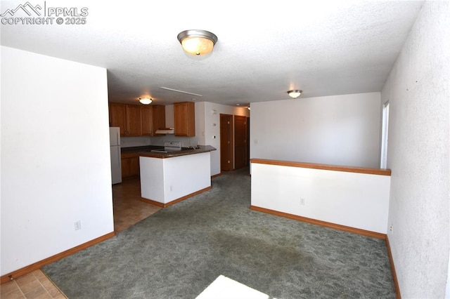 1310-1312 Market St, Colorado Springs, CO 80904 - kitchen featuring freestanding refrigerator, dark countertops, under cabinet range hood, carpet floors, and stove