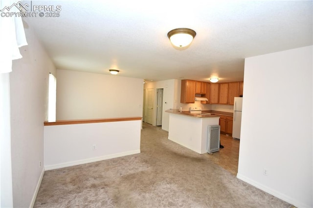 1310-1312 Market St, Colorado Springs, CO 80904 - kitchen featuring freestanding refrigerator, stove, light carpet, under cabinet range hood, and open floor plan