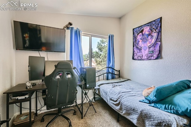 113 Ely St, Colorado Springs, CO 80911 - bedroom with a textured wall and an office area