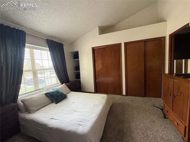1660 Maitland Ct, Colorado Springs, CO 80919 - carpeted bedroom featuring lofted ceiling, multiple closets, and a textured ceiling