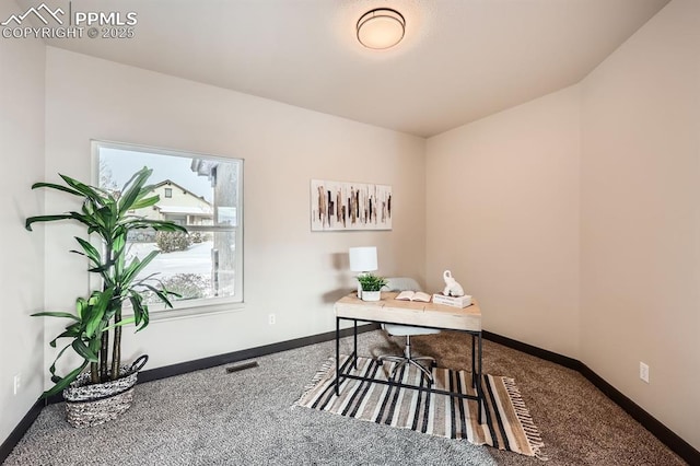 5687 Marshall Creek Dr, Colorado Springs, CO 80924 - carpeted home office featuring baseboards