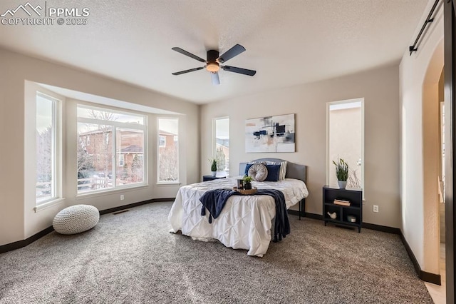 5687 Marshall Creek Dr, Colorado Springs, CO 80924 - bedroom featuring carpet flooring, baseboards, arched walkways, a ceiling fan, and a textured ceiling