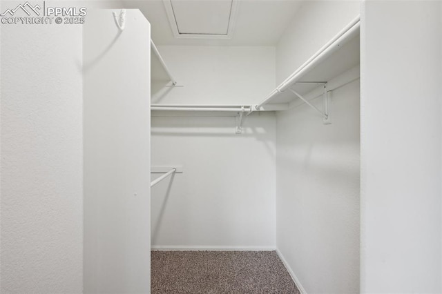 4530 Star Ridge Dr, Colorado Springs, CO 80916 - spacious closet with carpet flooring