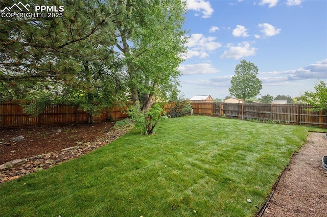 4530 Star Ridge Dr, Colorado Springs, CO 80916 - view of yard