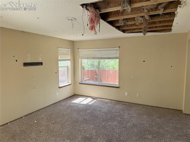 851 Legend Oak Dr, Fountain, CO 80817 - view of carpeted spare room