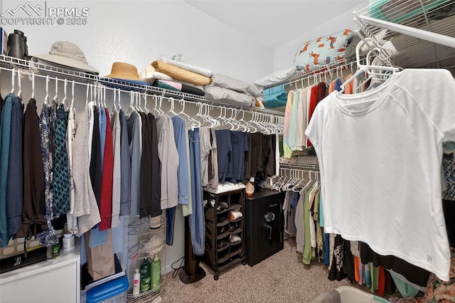 9661 Fresh Air Dr, Colorado Springs, CO 80924 - spacious closet with carpet floors