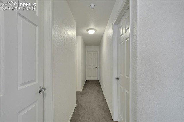 12213 Crystal Downs Rd, Peyton, CO 80831 - hallway with carpet and baseboards