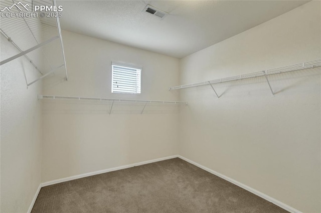 12213 Crystal Downs Rd, Peyton, CO 80831 - spacious closet with carpet