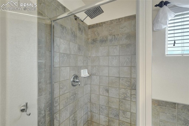 12213 Crystal Downs Rd, Peyton, CO 80831 - full bathroom with a stall shower