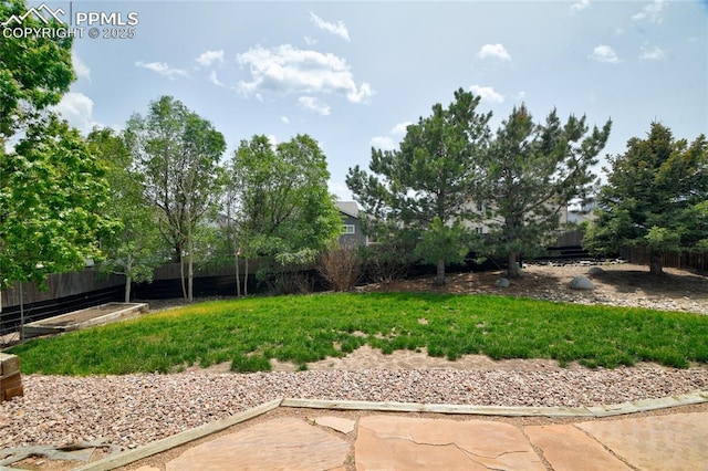 12213 Crystal Downs Rd, Peyton, CO 80831 - view of yard