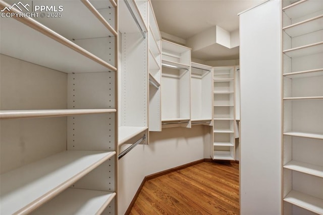 170 Salisbury Ct, Colorado Springs, CO 80906 - spacious closet with wood finished floors