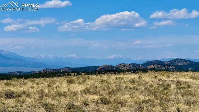 99 Melody Cir, Westcliffe, CO 81252