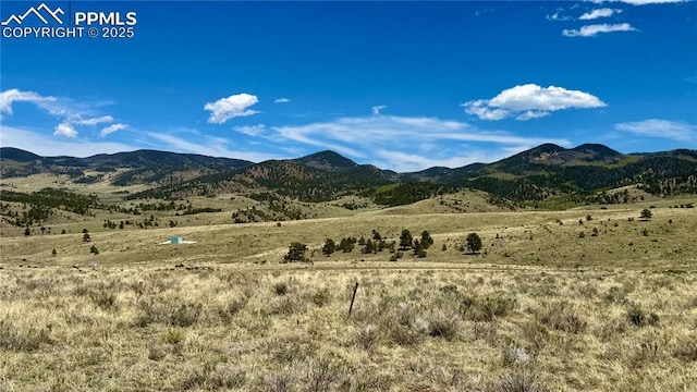 99 Melody Cir, Westcliffe, CO 81252