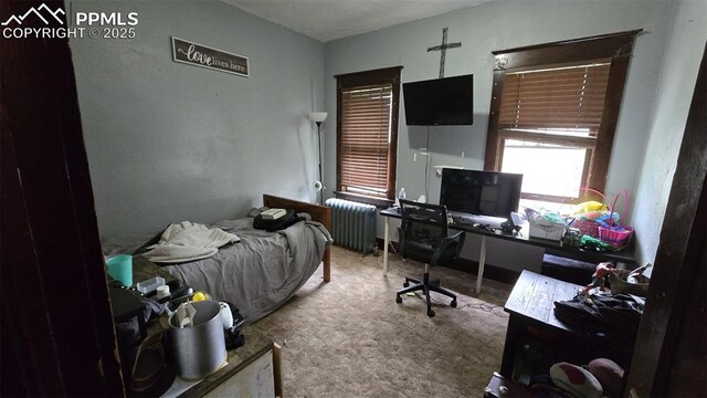 414 7th St, Hugo, CO 80821 - carpeted bedroom with radiator heating unit and an office area