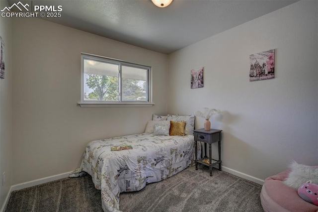 1135 Server Dr, Colorado Springs, CO 80910 - carpeted bedroom with baseboards