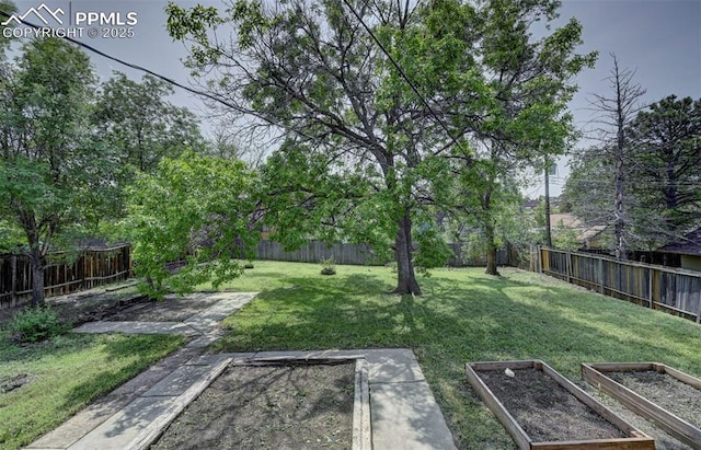 1135 Server Dr, Colorado Springs, CO 80910 - view of yard with a vegetable garden