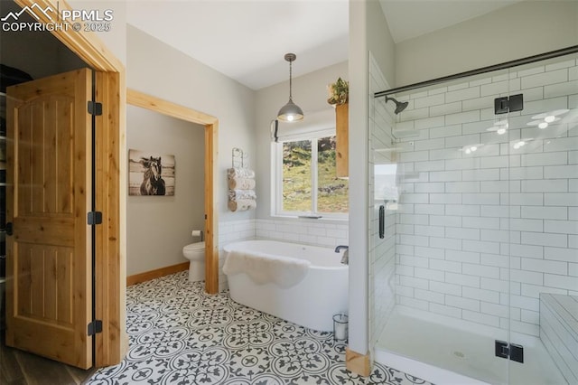 325 Spring Valley Dr, Florissant, CO 80816 - full bathroom featuring a shower stall, a freestanding bath, and toilet