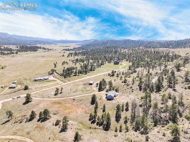 325 Spring Valley Dr, Florissant, CO 80816 - aerial view of sparsely populated area featuring a mountain backdrop