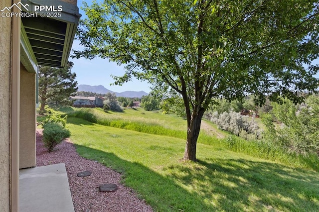 128 W Rockrimmon Blvd Unit 105, Colorado Springs, CO 80919 - view of grassy yard with a mountain view