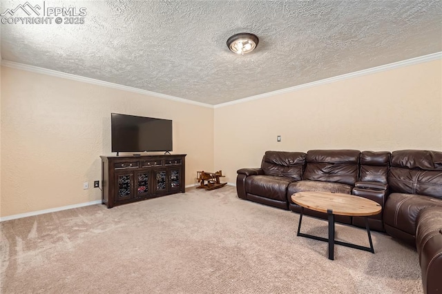 3660 E Wade Ln, Colorado Springs, CO 80917 - carpeted living area featuring ornamental molding, a textured ceiling, and baseboards