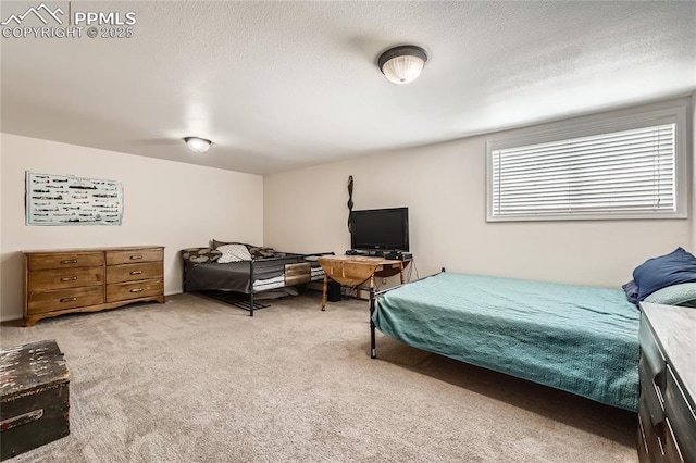3660 E Wade Ln, Colorado Springs, CO 80917 - carpeted bedroom featuring a textured ceiling