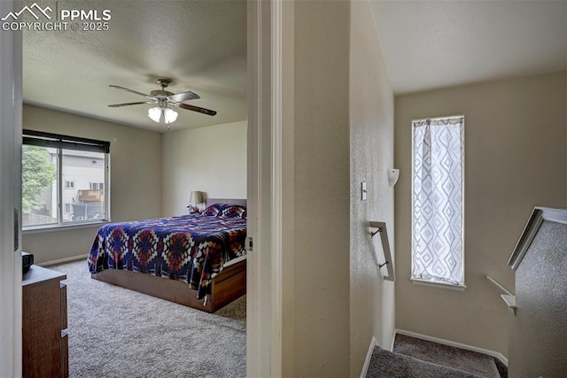 4959 Gami Way, Colorado Springs, CO 80911 - carpeted bedroom with baseboards, a ceiling fan, and a textured ceiling