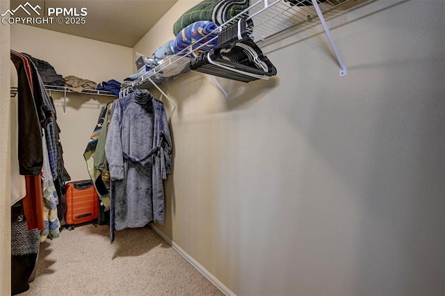4959 Gami Way, Colorado Springs, CO 80911 - spacious closet with carpet flooring