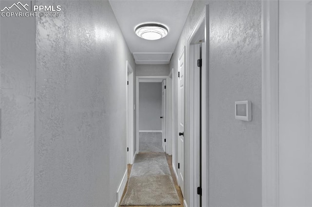 4623 Ranch Cir, Colorado Springs, CO 80918 - hallway featuring a textured wall, carpet, baseboards, and attic access