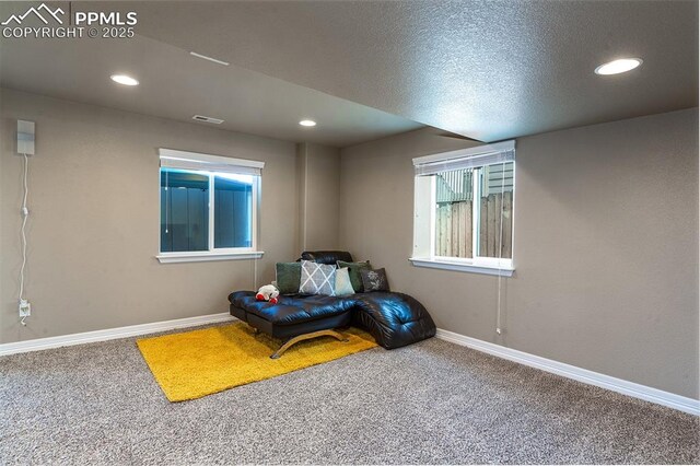 6078 Jorie Rd, Colorado Springs, CO 80927 - living area with carpet floors, recessed lighting, baseboards, and a textured ceiling
