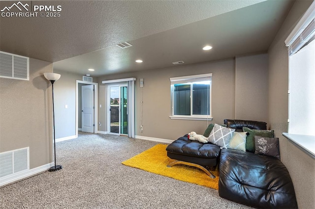 6078 Jorie Rd, Colorado Springs, CO 80927 - living area featuring carpet flooring, baseboards, recessed lighting, and a textured ceiling