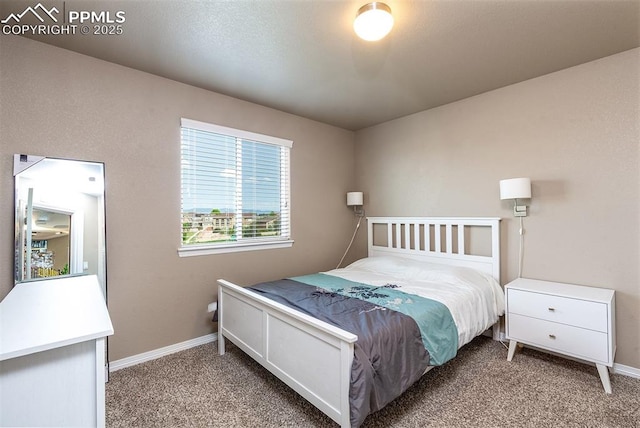 6078 Jorie Rd, Colorado Springs, CO 80927 - bedroom with carpet floors and baseboards