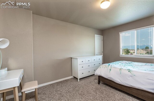 6078 Jorie Rd, Colorado Springs, CO 80927 - bedroom with light carpet and baseboards