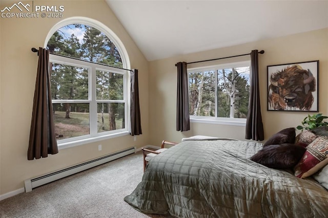 2100 N Elk Rdg, Divide, CO 80814 - bedroom featuring a baseboard heating unit, lofted ceiling, and carpet