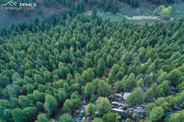 2100 N Elk Rdg, Divide, CO 80814 - view of property location