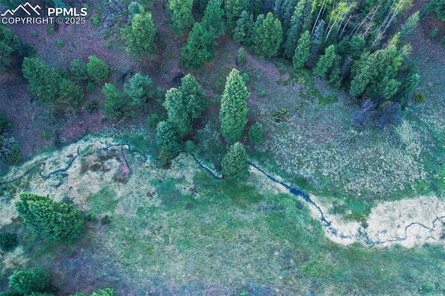 2100 N Elk Rdg, Divide, CO 80814 - aerial view of property and surrounding area