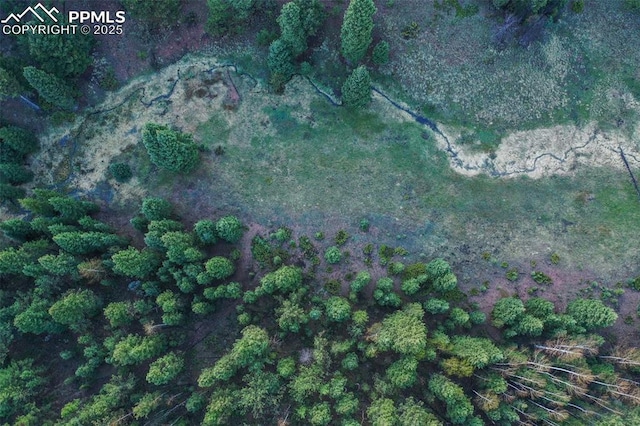 2100 N Elk Rdg, Divide, CO 80814 - view of property location