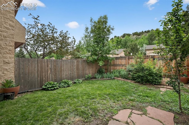 686 Echo Ln, Colorado Springs, CO 80904 - view of fenced backyard