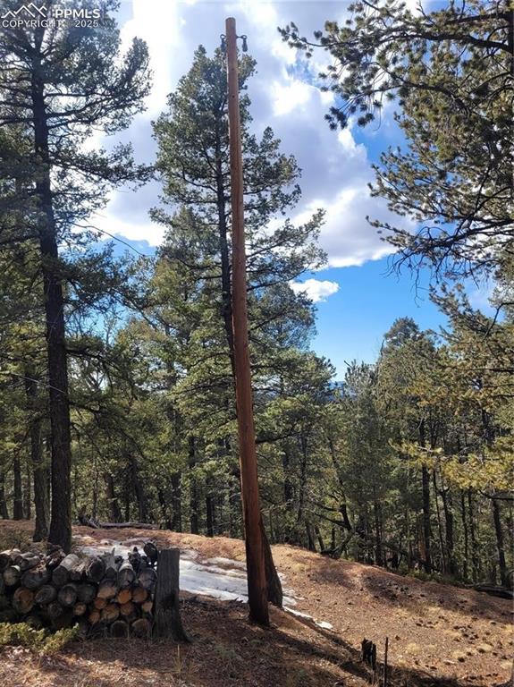 329 Paradiso Rd, Divide, CO 80814