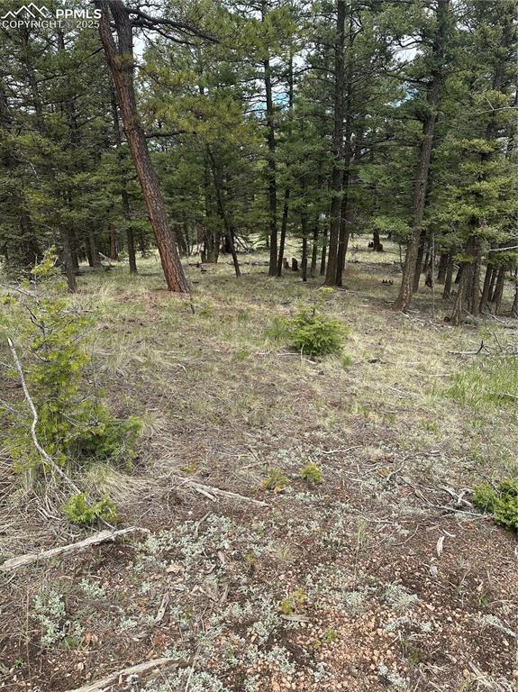 1120/1086 N Mountain Estates Rd, Florissant, CO 80816