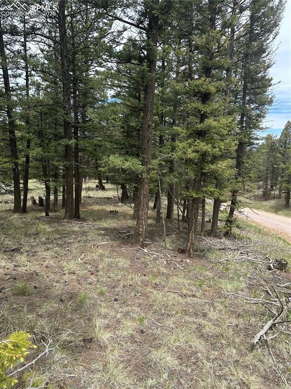 1120/1086 N Mountain Estates Rd, Florissant, CO 80816