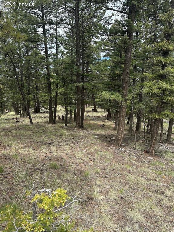 1120/1086 N Mountain Estates Rd, Florissant, CO 80816